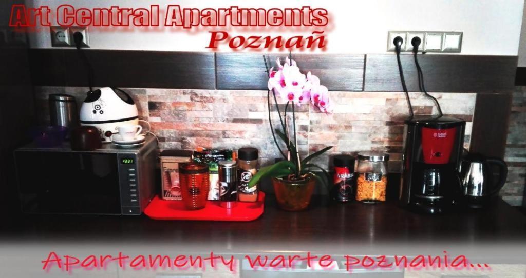 Art Apartments ポズナン エクステリア 写真